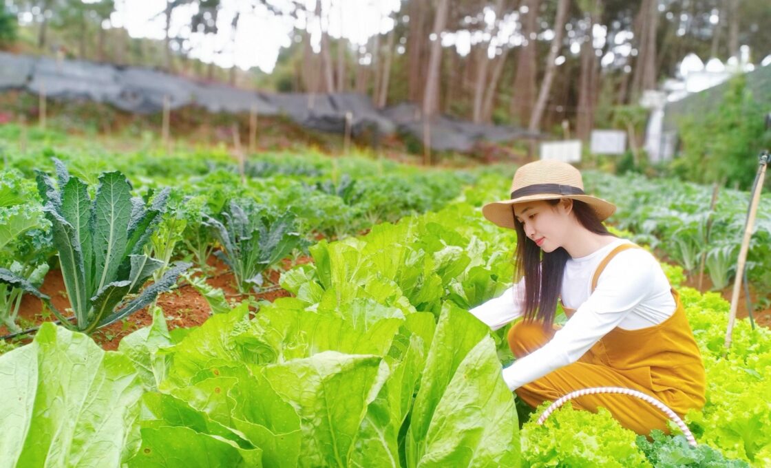 mộng thấy làm vườn